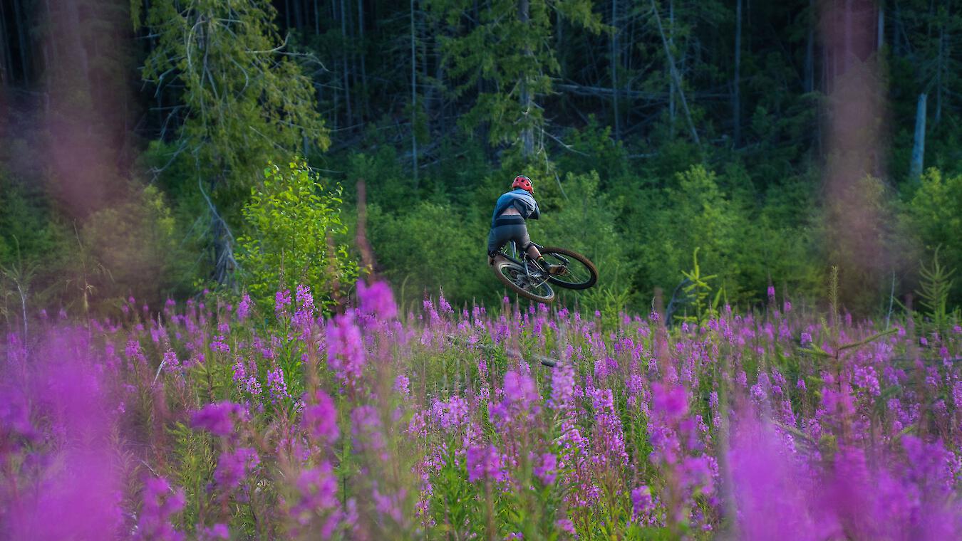 Mountain biker descending a trail in Cumberland, British Columbia