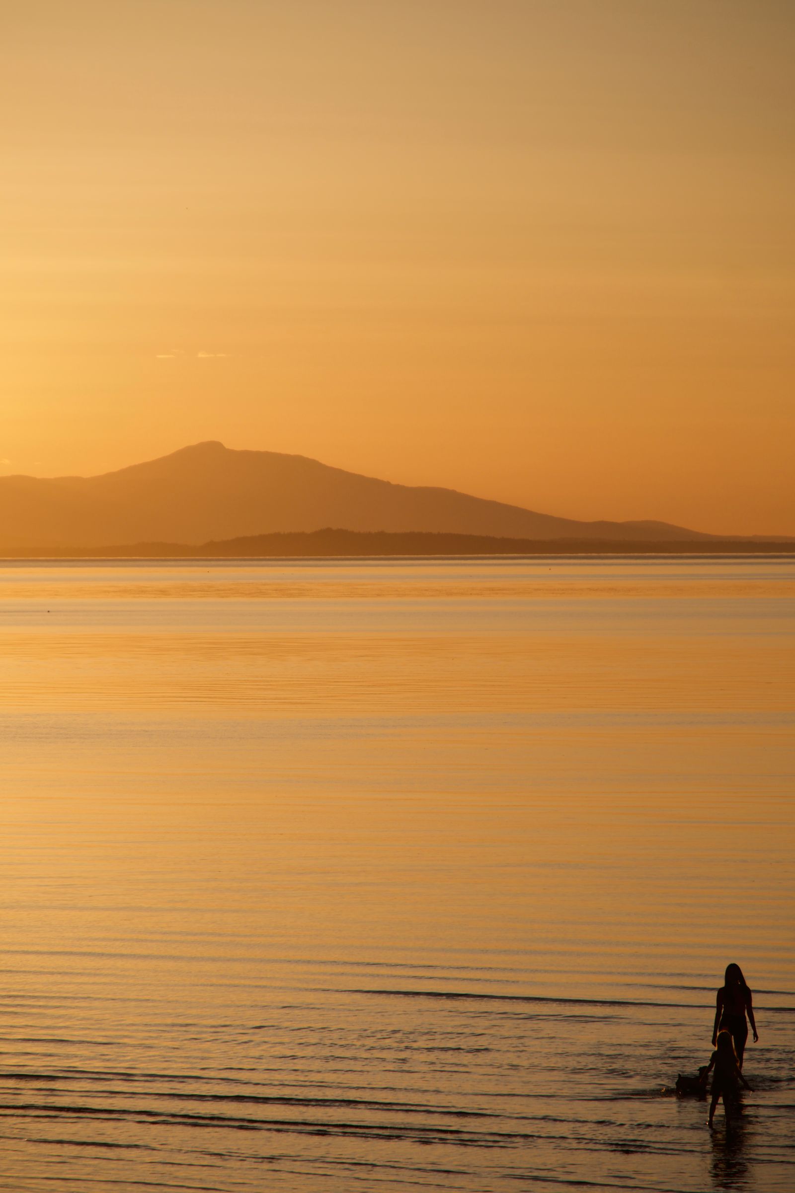 A quiet Vancouver Island shoreline at sunset