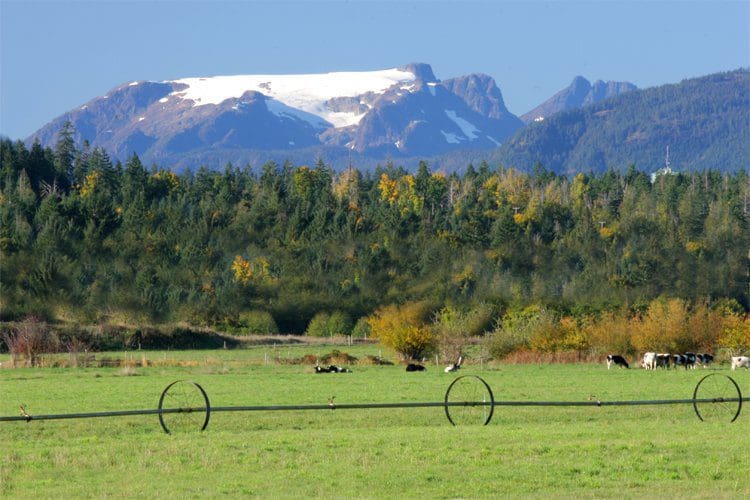 Pasture and farm fields in the Comox Valley beneath the mountains